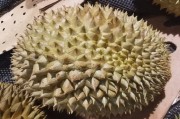 Durian pork rib soup: cooking practices and contraindications
