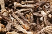 Deer antler mushroom: home-cooked practice and edible benefits and precautions