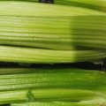 A way or trick to keep celery fresh