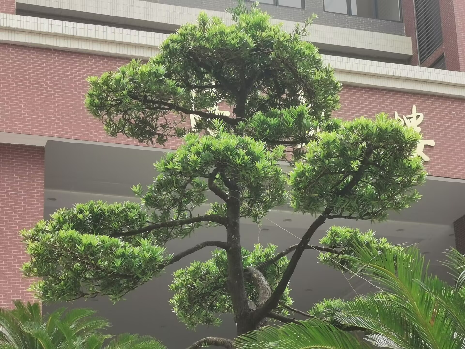 culture,composition,emotion好文,emotion故事,Entrepreneurship,cloud computing,code,life