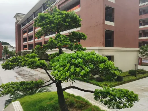 如何提高中學寫作能力 第1张 如何提高中學寫作能力 第1张