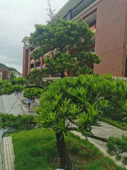 寫好中學composition的三大訣竅 第1张