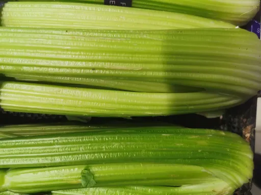 celery .jpg