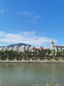 藝術與life：emotion與認知的交織 第1张