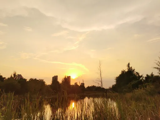 夕陽下的田野 第1张