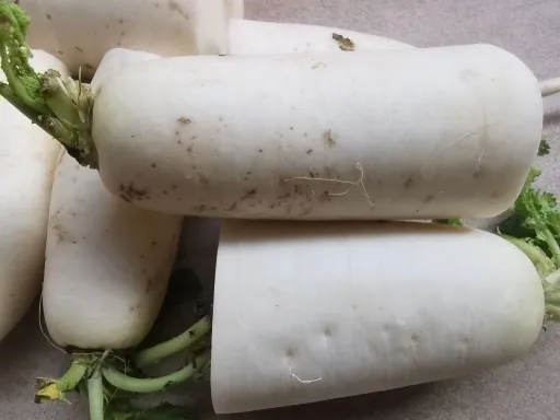 daikon .jpg