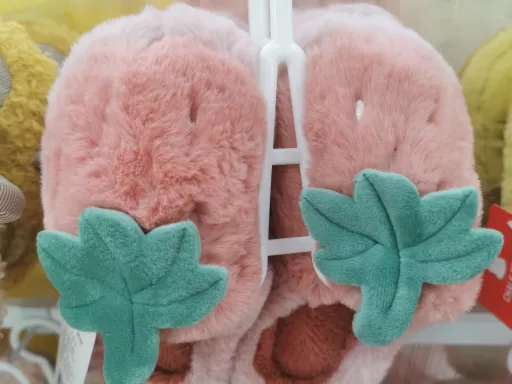 女人小本Entrepreneurship：優勢、需求、資本與匹配度的深度探索 第1张